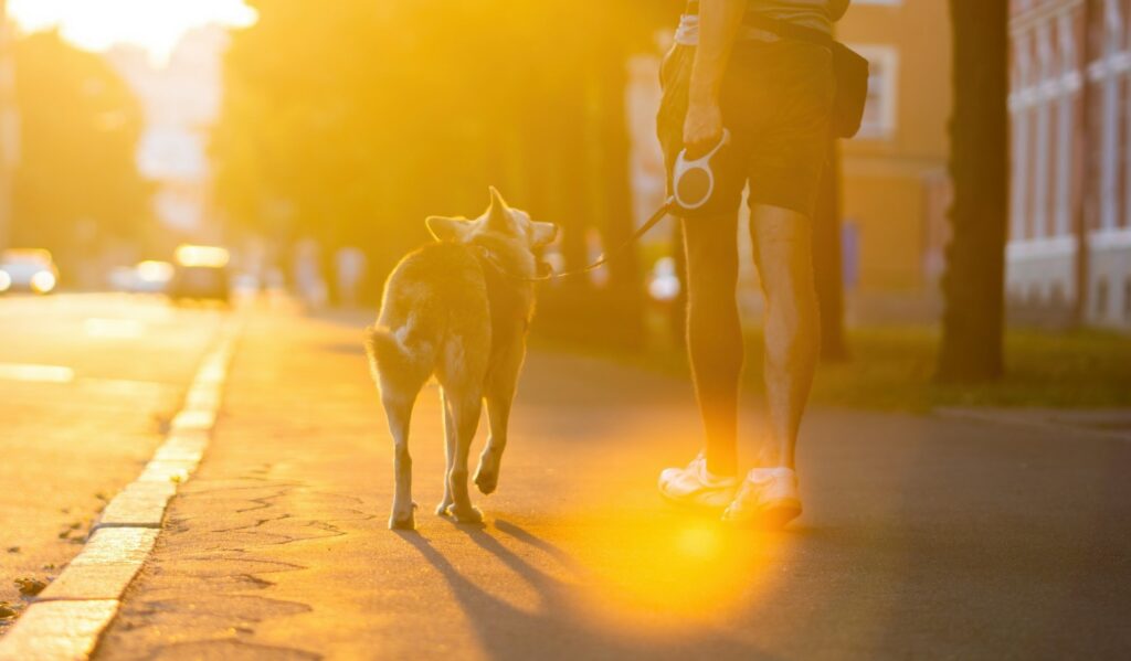 Διαλείμματα περπατήματος βελτιώνουν τον έλεγχο του σακχάρου μετά από γεύματα πλούσια σε υδατάνθρακες