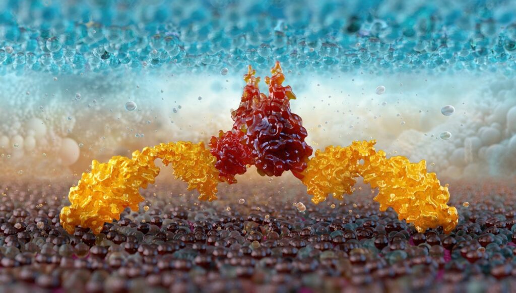 Μετεωρία ανάπτυξης για τη θεραπεία CAR-T σε στερεά κακοηθείες