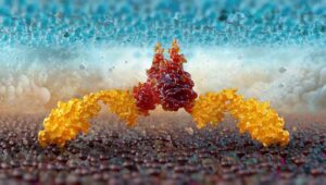 Μετεωρία ανάπτυξης για τη θεραπεία CAR-T σε στερεά κακοηθείες