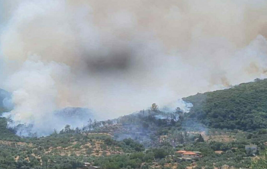 Φωτιά στην Εύβοια: Συνελήφθη 56χρονος για την πρόκλησή της