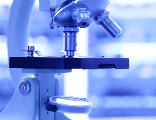 Αντισώματα επαναφέρουν σπάνια νευροαναπτυξιακή διαταραχή σε προκλινικά μοντέλα