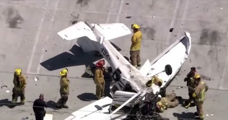 Σοκαριστική πτώση αεροπλάνου στο Λος Άντζελες – Χτύπησε σε καλώδια