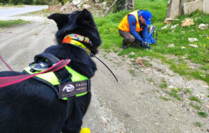 Συναγερμός για δηλητηριασμένα δολώματα στον Πάρνωνα