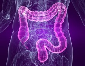 Η μικροχλωρίδα του εντέρου ρυθμίζει τη λειτουργία και την πλαστικότητα των επιθηλιακών κυττάρων