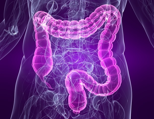 Η μικροχλωρίδα του εντέρου ρυθμίζει τη λειτουργία και την πλαστικότητα των επιθηλιακών κυττάρων