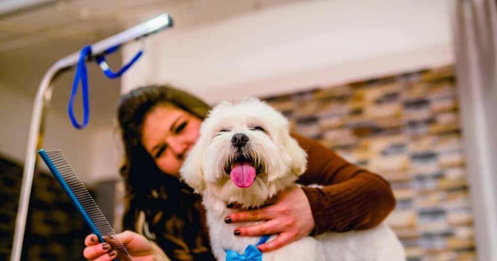 Η ανισότητα στην φροντίδα των κατοικιδίων και η νέα αγορά της ποιότητας ζωής