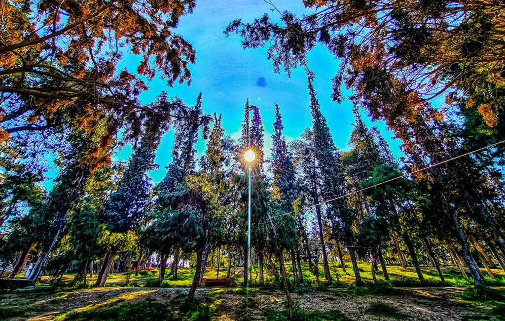 Άνοιξη με 27άρια και κυρίαρχη ηλιοφάνεια έως την Πέμπτη