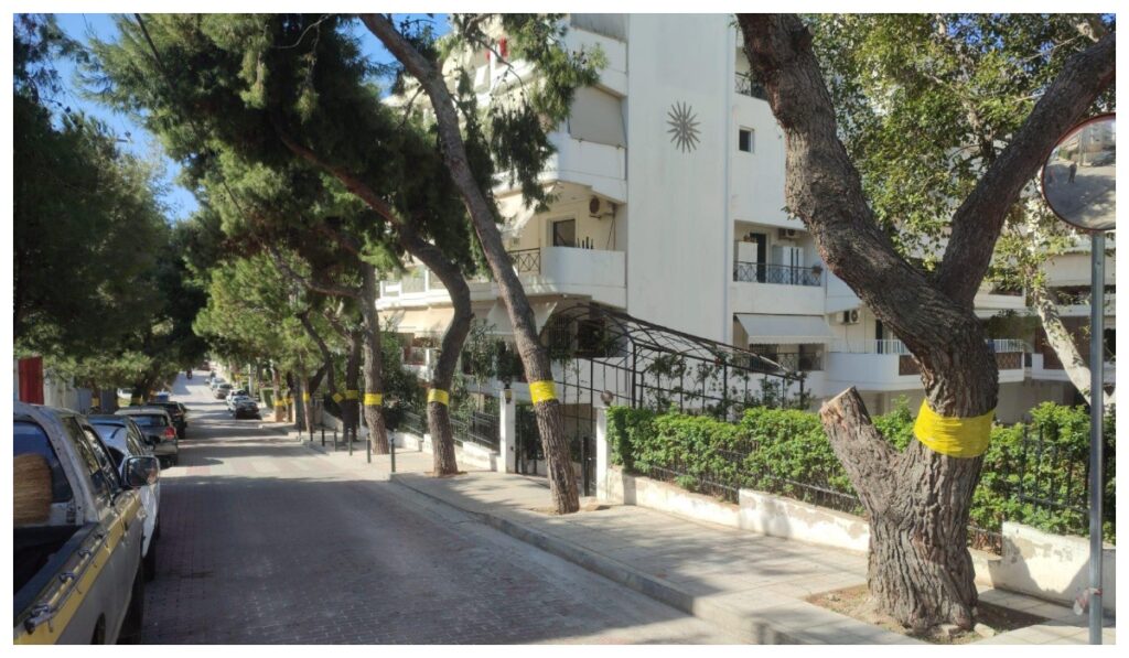 Δήμος Αλίμου: Ποινή 1.500€ σε εργολάβο για καταστροφή πεύκου