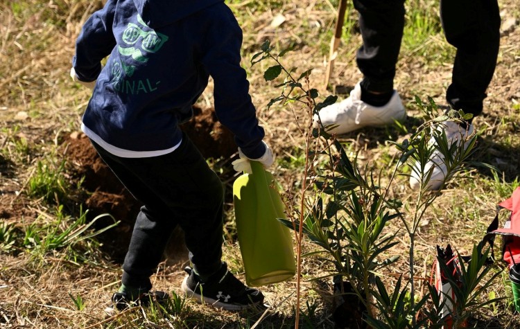 Δενδροφύτευση στον προαύλιο χώρο του 3ου Γυμνασίου Νέας Φιλαδέλφειας