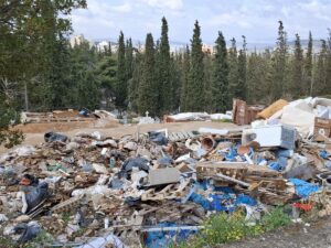 Σκουπιδότοπος το Νεκροταφείο Ζωγράφου - Αντιδράσεις και Η θέση της Δημάρχου