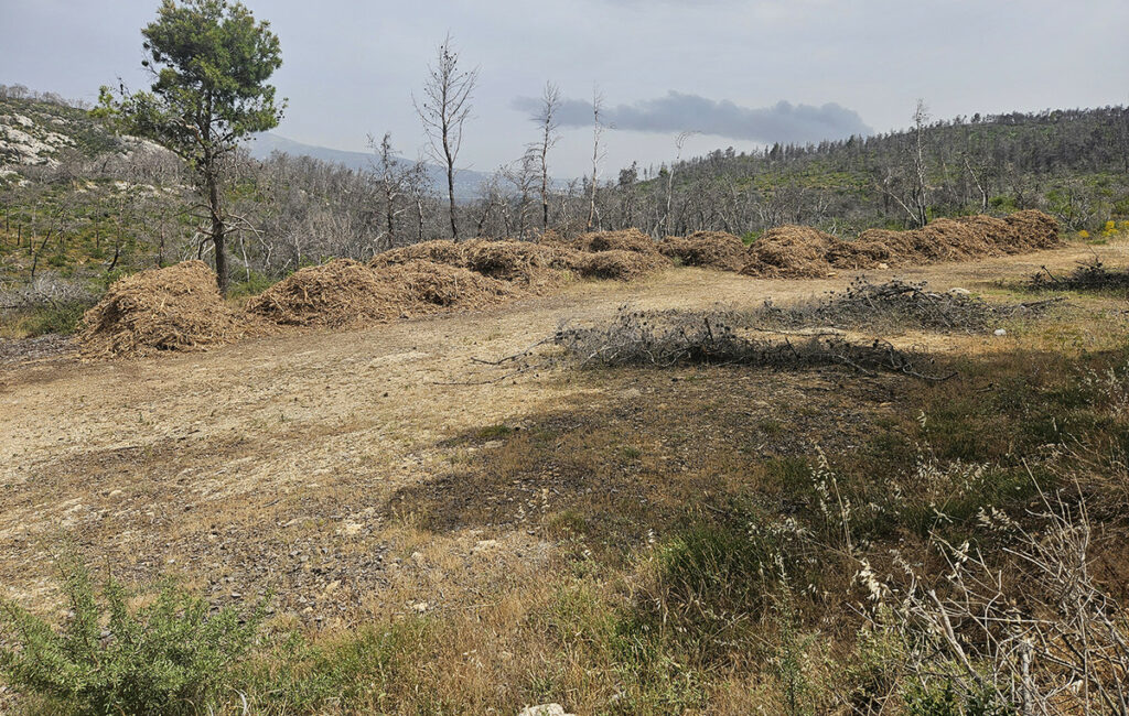 Αυστηρότεροι κανόνες για τα ακαθάριστα οικόπεδα