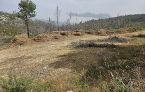 Αυστηρότεροι κανόνες για τα ακαθάριστα οικόπεδα