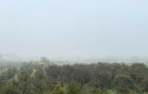 Μοναδικό φαινόμενο: Ο Ταΰγετος «χάθηκε» μέσα στην ομίχλη