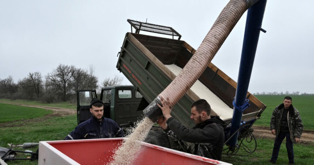 Ουκρανία: Αίτημα προς Ισραήλ για κατάσχεση πλοίου με «κλεμμένα» σιτηρά