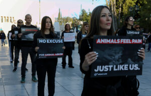 Vegans διαμαρτύρονται στο Σύνταγμα για το σούβλισμα του Πάσχα