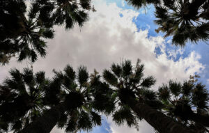 Ο καιρός σήμερα, Τρίτη 28 Απριλίου 2026