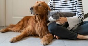 Εθνικό Μητρώο Ζώων Συντροφιάς: Ψηφιακές Υπηρεσίες για Δήμους και Πολίτες