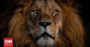 Η πρεμιέρα του «Narnia» από το Netflix μετατέθηκε για το 2027